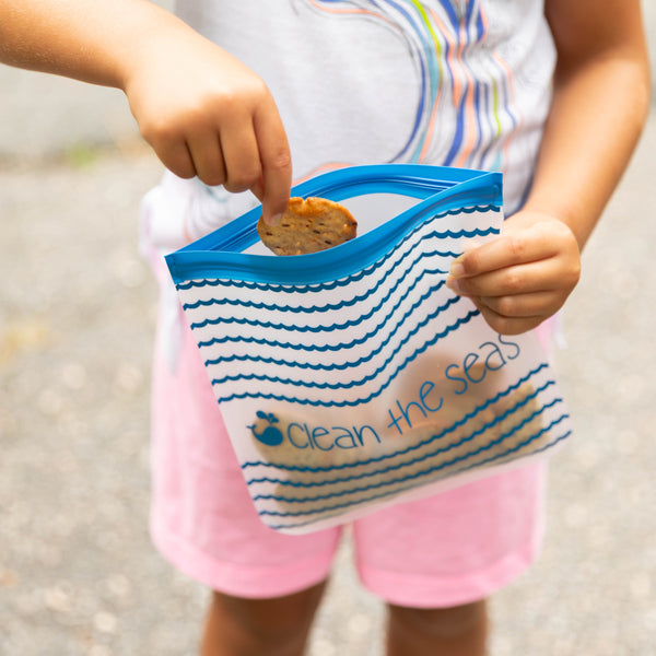 Reusable 4-Piece Set: Gallon (2), and Quart Bag (2)
