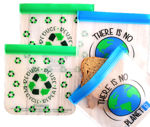 Reusable - Avg Sandwich - 4-Pc - Earth Friends, Eco-Friendly Bag Set