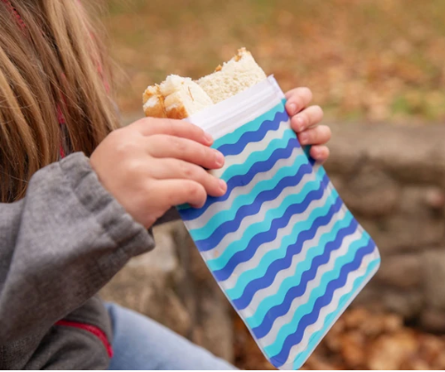 Reusable 4-Piece Eco-Friendly Sandwich Bag Set - Waves