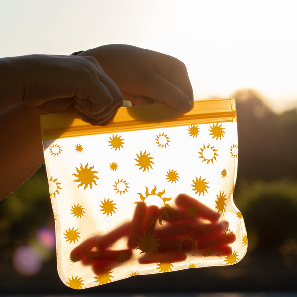 Reusable 4-Piece Set: Gallon (2) and Quart (2) Bag Set - "Sea Turtles on the Move" and "Sunshine"