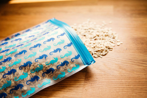 Reusable 4-Piece Quart Bag Set - Seahorses